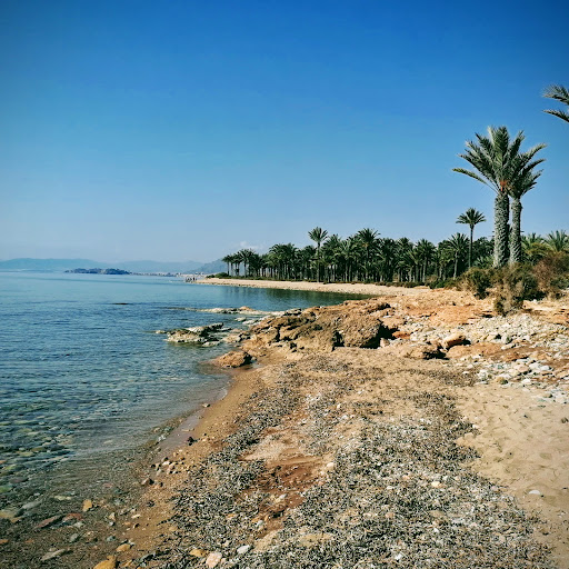 Playa de San Gines